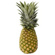 Pineapple Fresh 1 ct in the Mail